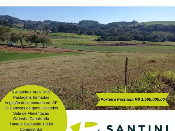 Sítio Completo com toda infraestrutura para gado leiteiro